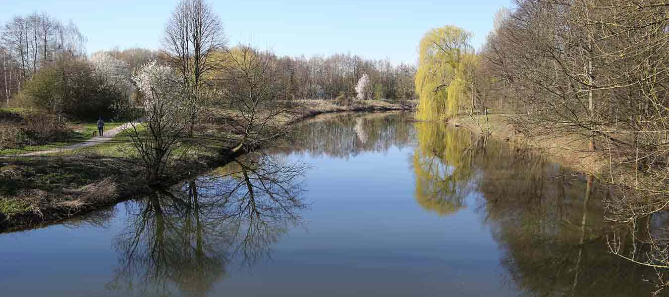 Leinemasch
